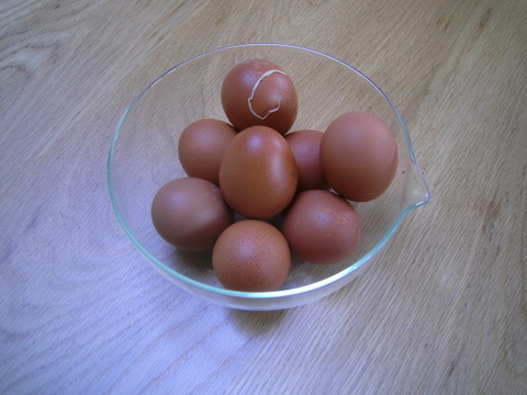 Bowl of Eggs.JPG